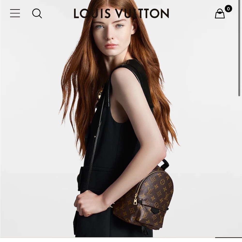 Palm Springs Mini - image 2